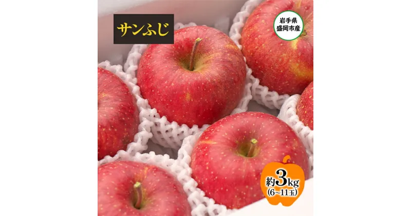 【ふるさと納税】【11月から発送】 りんご 盛岡から「農で人をつなぐ」藤与果樹園： サンふじ 約3kg 6～11玉 玉数指定不可 詰め合わせ 岩手 盛岡　お届け：2024年11月30日～2025年2月28日