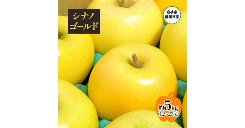 【ふるさと納税】【11月から発送】 りんご 盛岡から「農で人をつなぐ」藤与果樹園： シナノゴールド 約5kg 12～23玉 玉数指定不可 詰め合わせ 岩手 盛岡　お届け：2024年11月30日～2025年2月28日