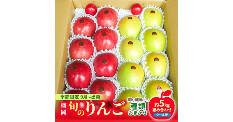 【ふるさと納税】盛岡 旬のりんご《種類おまかせ！》 約5キロ詰め合わせ 《季節限定9月～出荷》《クール便》《契約農園から》　お届け：2024年9月1日～2025年1月15日