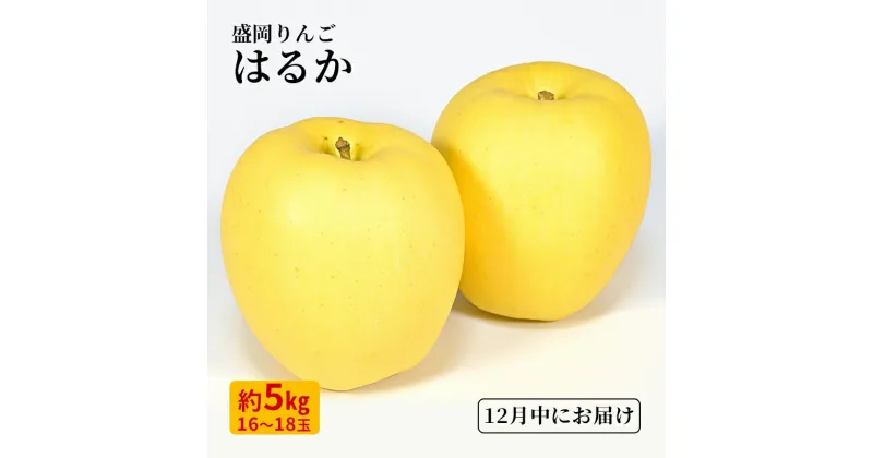 【ふるさと納税】12月限定 りんご 『はるか』 生果実 盛岡りんご 約5kg(18個) 箱 盛岡市 下久保農園産 　お届け：2024年12月5日～2024年12月20日