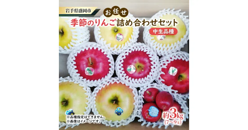 【ふるさと納税】【大櫻農園】盛岡 りんご 中生 「お任せ 季節のりんご詰め合わせ」約3kg（7～9玉）　お届け：2024年10月中旬～2024年11月中旬