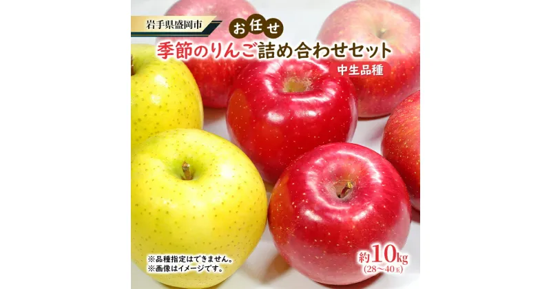 【ふるさと納税】【大櫻農園】盛岡 りんご 中生 「お任せ 季節のりんご詰め合わせ」約10kg（28～40玉）　お届け：2024年10月中旬～2024年11月中旬