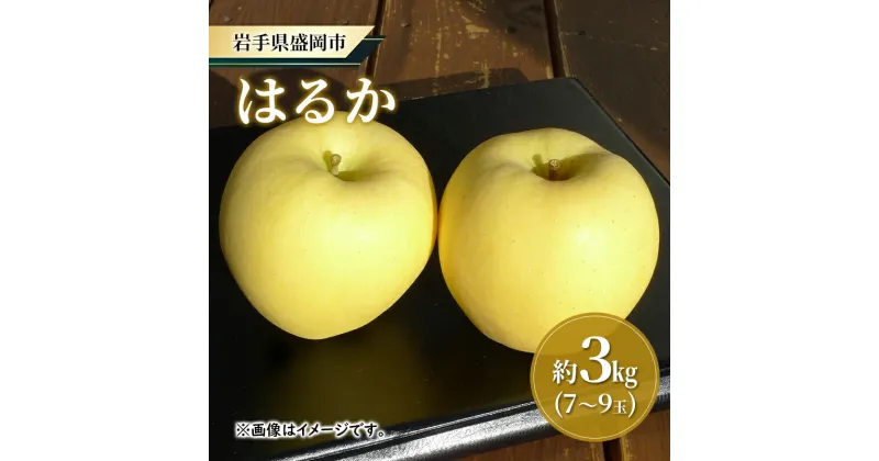 【ふるさと納税】【大櫻農園】はるか 盛岡 完熟 りんご 約3kg（7～9玉） 　お届け：2024年12月中旬～2025年1月下旬