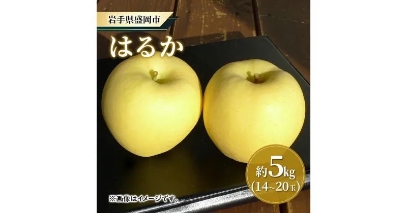 【ふるさと納税】【大櫻農園】はるか 盛岡 完熟 りんご 約5kg（14～20玉 ）　お届け：2024年12月中旬～2025年1月下旬