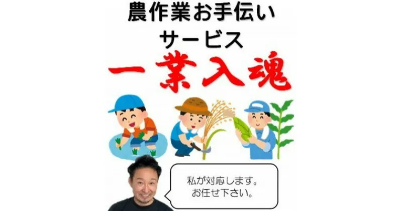 【ふるさと納税】岩手県宮古市　農作業お手伝いサービス【1回(1日):7時間以内】【1361022】