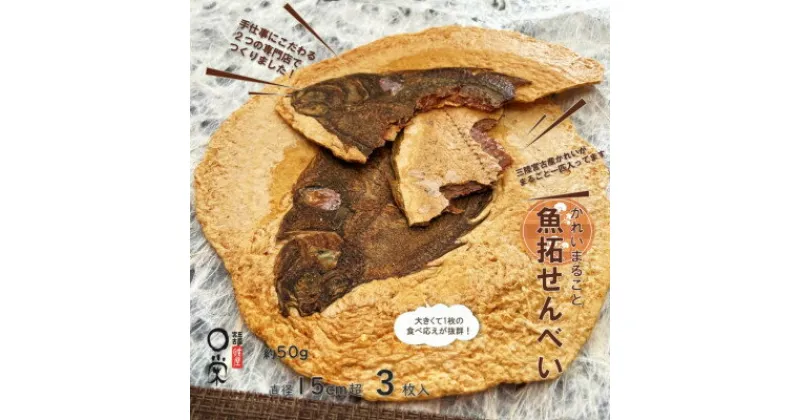 【ふるさと納税】【かれい専門店】宮古で獲れた かれいまるごと魚拓せんべい　直径15cm超　3枚【1391191】