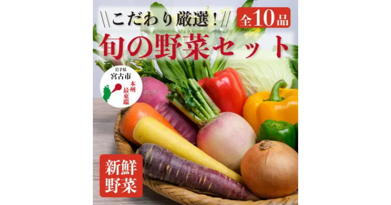 【ふるさと納税】【新鮮野菜】こだわり厳選!旬の野菜セット【配送不可地域：離島・北海道・沖縄県】【1374254】