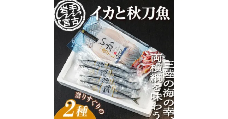 【ふるさと納税】いか一夜干し1p・潮風さんま4本 2種セット【配送不可地域：離島】【1462811】