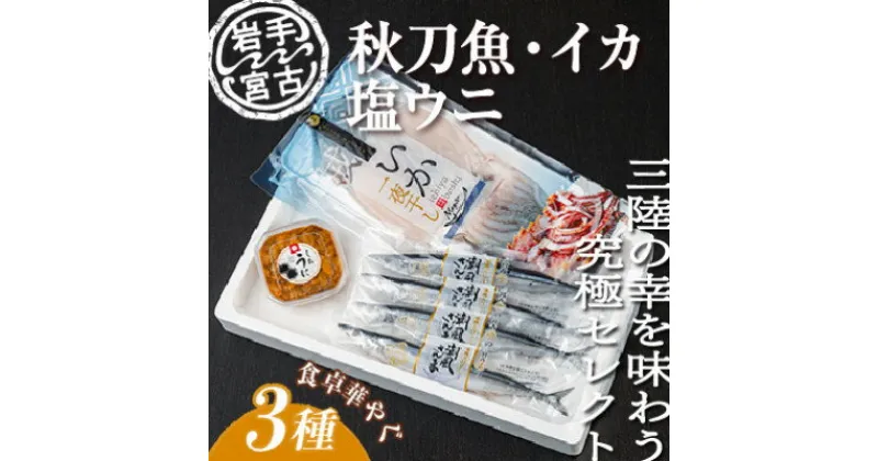 【ふるさと納税】いか一夜干し1p・潮風さんま4本・塩うに1ケ　3種セット【配送不可地域：離島】【1462936】