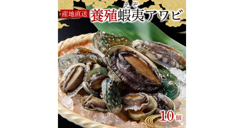 【ふるさと納税】 三陸産 産地直送”活”蝦夷あわび10ヶ（養殖） えぞあわび 鮑 アワビ 刺身 ステーキ 活アワビ あわび