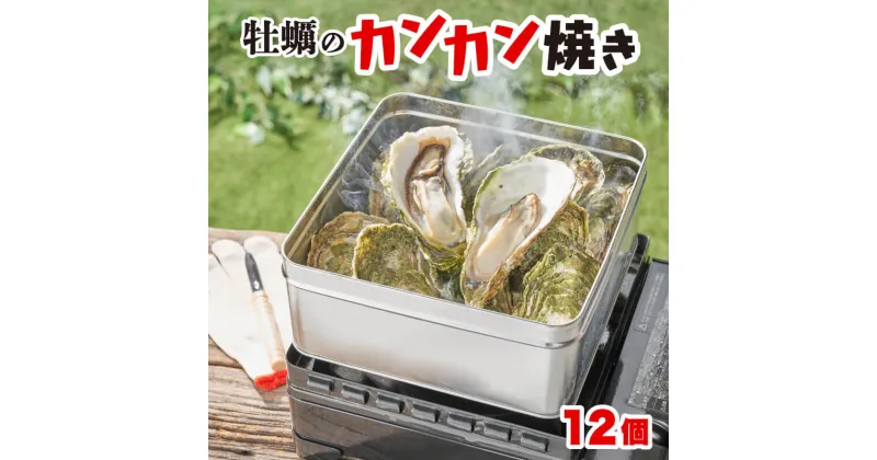 【ふるさと納税】 殻付かきのカンカン焼きセット大12個 加熱用 かき 牡蠣 カキ オイスター oyster アヒージョ バーベキュー BBQ フライ 揚げ物 鍋 ごはん 夕飯 おかず おつまみ 晩酌 米 丼 海産物 海鮮 魚介 魚介類 贈答品 お中元 お歳暮 大船渡 三陸 岩手県 国産