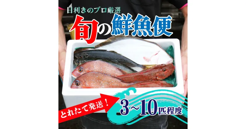 【ふるさと納税】 鮮魚 旬 獲れたて セット 3～10匹 鮮魚便 海鮮 魚貝類 魚介類 鮮魚 旬 獲れたて セット 詰め合わせ さかな おさかな 魚 海の幸 福袋 FISH ごはん 夕飯 おかず おつまみ 晩酌 米 丼 三陸産 岩手県 大船渡市