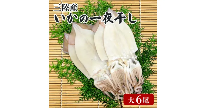 【ふるさと納税】 いか 一夜干し 大 6尾 いか イカ 烏賊 squid バーベキュー BBQ 炙り 炙り焼き 夕飯 おかず おつまみ 晩酌 海産物 海鮮 魚介 魚介類 大船渡 三陸 岩手県 国産