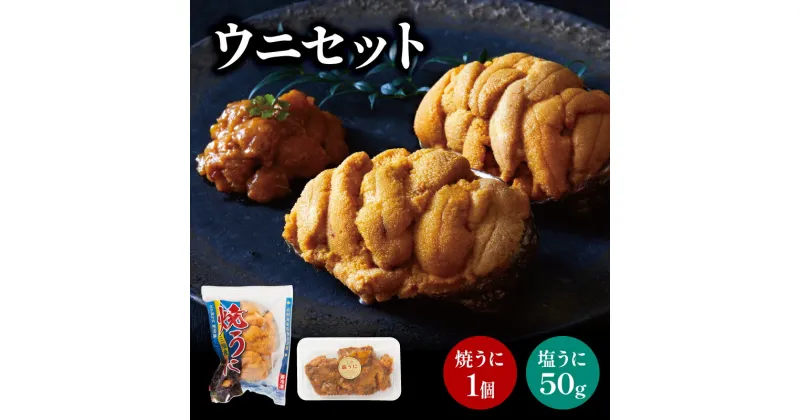 【ふるさと納税】 塩うに 焼うに セット うに ウニ 雲丹 汐うに 潮うに 焼き雲丹 寿司 Sea urchin ごはん 夕飯 おかず おつまみ 晩酌 米 丼 海産物 海鮮 魚介 魚介類 大船渡 三陸 岩手県 国産