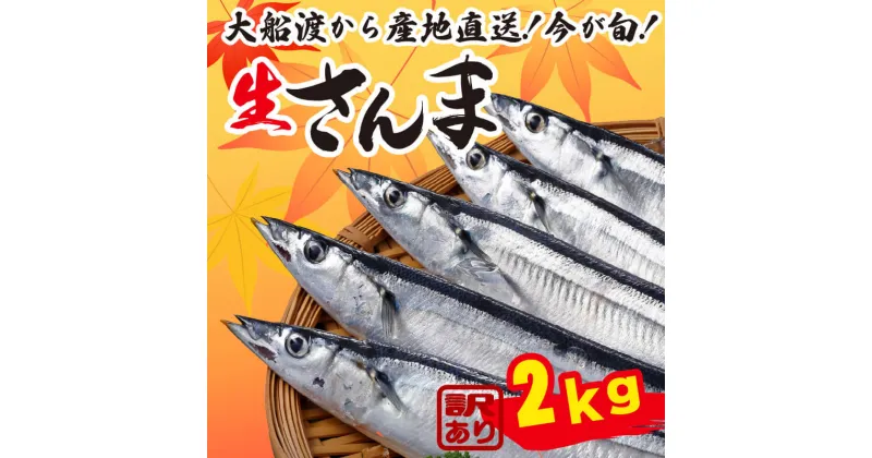 【ふるさと納税】 訳あり さんま 約2kg 冷蔵 秋刀魚 サンマ 生サンマ 海産物 海鮮 魚介 魚介類 大船渡 三陸 岩手県 国産 発送期日 2024年9月～2024年11月下旬