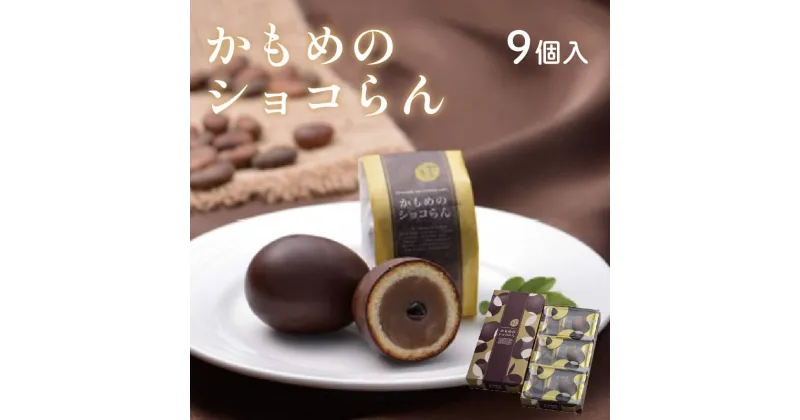 【ふるさと納税】 かもめのショコらん9個入 お菓子 おかし スイーツ 洋菓子 銘菓 チョコレート チョコ ショコラ 焼き菓子 焼菓子 餡 おやつ かもめのたまご お土産 ギフト 夏ギフト お中元 御中元 さいとう製菓 三陸 岩手県 大船渡市