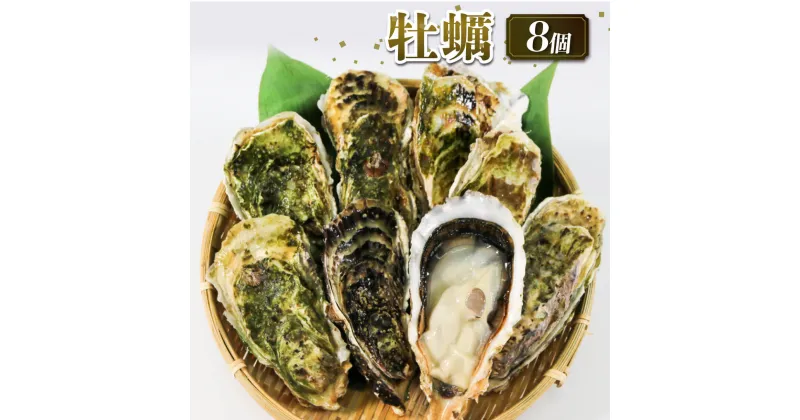 【ふるさと納税】 牡蠣 8個 殻付き 冷凍 生食用 かき 牡蠣 カキ オイスター oyster アヒージョ バーベキュー BBQ フライ 揚げ物 ごはん 夕飯 おかず おつまみ 晩酌 米 丼 海産物 海鮮 魚介 魚介類 贈答品 お中元 大船渡 三陸 岩手県 国産