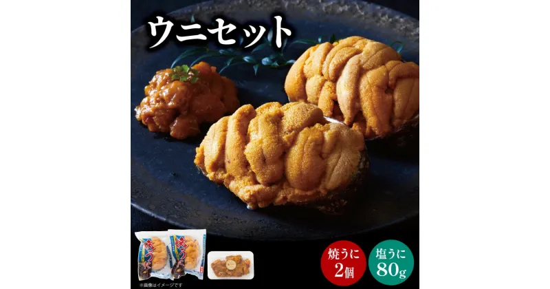 【ふるさと納税】 塩うに 80g 焼うに 80g×2 セット 雲丹 寿司 焼き雲丹 焼雲丹 汐うに 潮うに 海鮮 魚貝類 魚介類 キタムラサキウニ 小分け ウニ丼 ご飯 白米 おつまみ 三陸産 岩手県 大船渡市