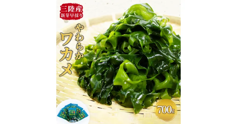 【ふるさと納税】 三陸わかめ 鐵五郎の三陸わかめ 早採れ 700g （100g×7袋） 綾里 ワカメ 新芽 冷蔵