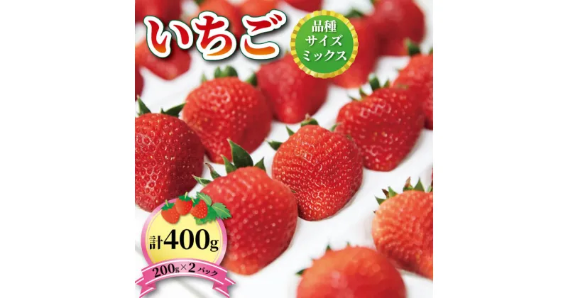 【ふるさと納税】 いちご 2種 400g (200g×2) 1〜5月お届け 苺 果物 くだもの フルーツ おやつ ストロベリー strawberry 岩手県 大船渡市