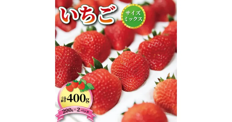 【ふるさと納税】 いちご 1種 400g (200g×2) 1~5月お届け 品種おまかせ フルーツ 果物 苺 イチゴ なつあかり 信大BS8-9 夏のしずく 夏の輝 すずあかね リアスター 夏苺 夏いちご 予約販売 三陸産 大船渡 国産 期間限定 季節限定 7000円