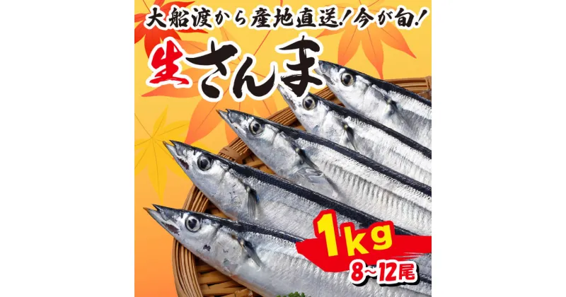 【ふるさと納税】 さんま 約1kg 8尾～12尾 冷蔵 鮮秋刀魚 [発送:2024年9月～2024年11月下旬] 三陸 岩手 大船渡市 サンマ 秋刀魚 生