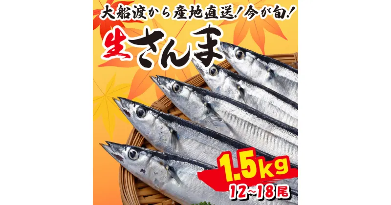 【ふるさと納税】 さんま 約1.5kg 12尾～18尾 冷蔵 鮮秋刀魚 期間限定 発送期日2024年9月～2024年11月下旬 三陸 岩手 大船渡市 サンマ