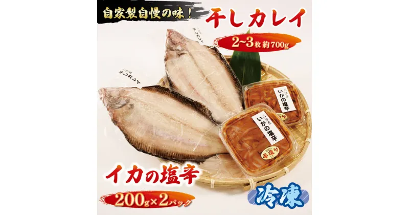 【ふるさと納税】 干しカレイ2～3枚 (約700g) イカの塩辛 200g × 2パック セット カレイ 魚 焼き魚 干し 干物 海産物 海 イカ いか 塩辛 ご飯 おかず 夕飯 夕ご飯