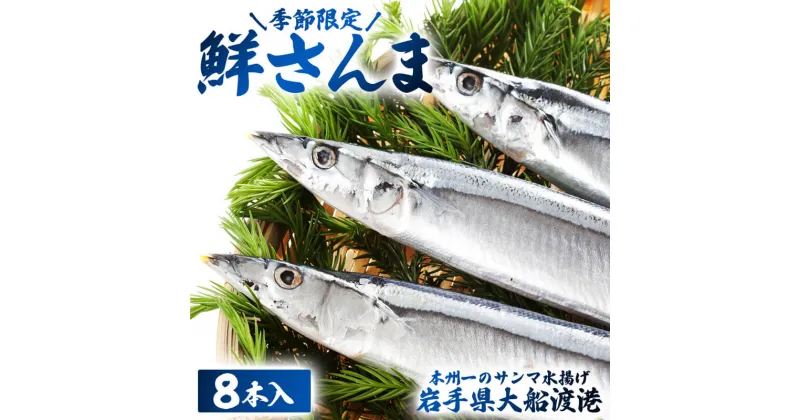 【ふるさと納税】 鮮さんま 8本入 (1尾 100g〜120g) 岩手大船渡産 サンマ 秋刀魚 海鮮 魚貝類 魚介類 産地直送 新鮮 期間限定 鮮魚 新鮮さんま 魚 焼き魚 三陸さんま 岩手 大船渡市