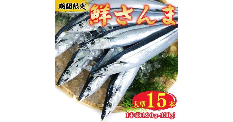 【ふるさと納税】 鮮さんま 大型 15本 (1本約120g～130g) 冷蔵 期間限定!! 秋刀魚 さんま 季節 限定 焼き 魚 旬 ご飯 ごはん おかず 煮 三陸 大船渡