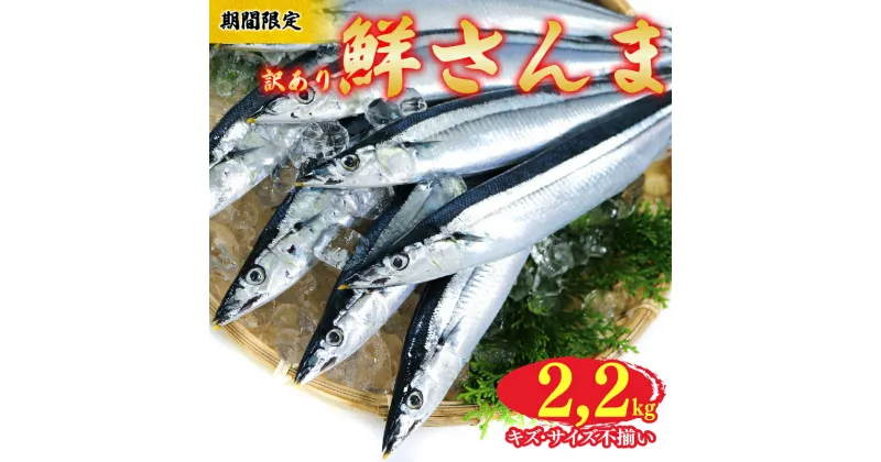 【ふるさと納税】 【期間限定】 訳あり 鮮さんま 約2.2kg 冷蔵 サンマ 秋刀魚 旬 海鮮 魚貝類 魚介類 産地直送 新鮮さんま 魚 焼き魚 三陸さんま 岩手 さんま 大船渡市