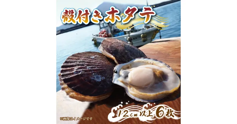 【ふるさと納税】 活帆立 ホタテ 6枚 12cm以上 冷蔵 貝 おかず 焼き フライ 刺身 岩手県 大船渡市 ふるさと納税