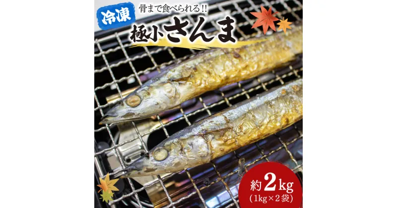 【ふるさと納税】 極小 さんま 2kg 1kg×2袋 秋刀魚 旬 海鮮 魚貝類 魚介類 冷凍 焼き魚 三陸産 岩手県 大船渡市 数量限定