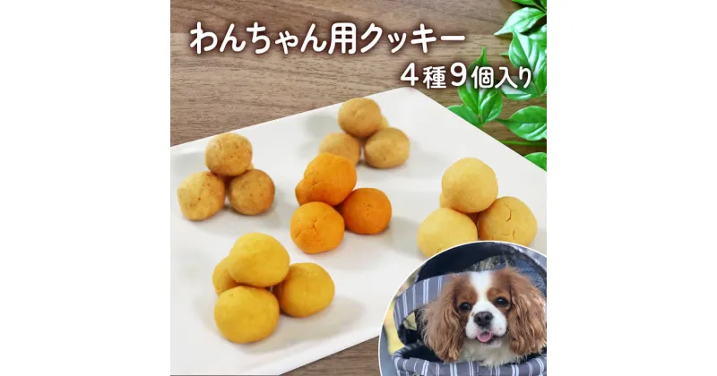 【ふるさと納税】 ワンちゃん用クッキーアソートセット 4種類 36個 おやつ 小分け 犬用おかし 犬用おやつ ペットフード ドッグフード 7000円以下 7,000円以下