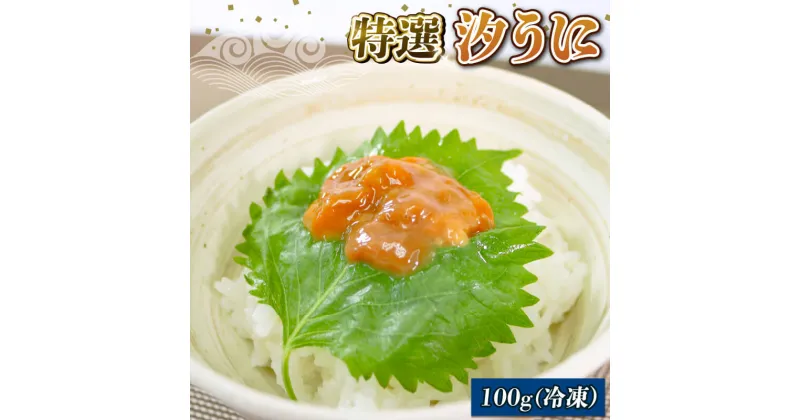 【ふるさと納税】 汐うに 100g 特選 岩手県産ウニ 三陸産ウニ ウニ丼 魚介 海産物 ウニ 海の幸 うに丼 刺身 ウニ 惣菜 加工品 ウニ ご飯のお供 ウニ 国産 岩手県産 1万円 10000円