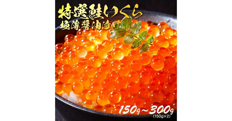 【ふるさと納税】 特選いくら極薄醤油漬け 150g ～ 300g いくら 海鮮 魚貝類 魚介類 魚卵 鮭 さけ イクラ丼 丼物 白米 ご飯 醤油 しょうゆ 三陸産 岩手県 大船渡市