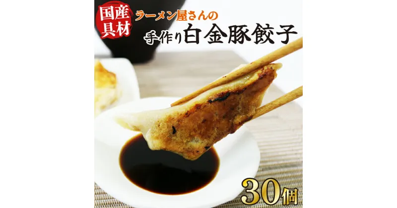 【ふるさと納税】 手作り餃子 冷凍 30個 6個×5pc 白金豚 ブランド豚 国産具材使用 簡単調理 ご飯のお供 惣菜 お弁当 冷凍食品 10000円 1万円 黒船 大船渡市