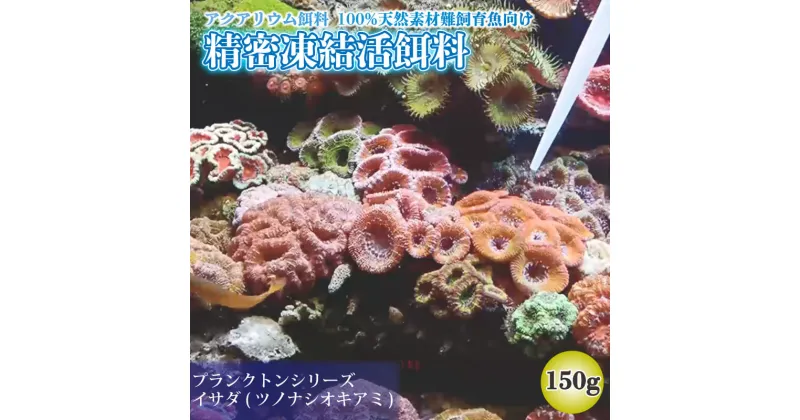 【ふるさと納税】 精密凍結活餌料 イサダ(ツノナシオキアミ)150g (50g×3) 難飼育魚向け餌料 観賞魚 熱帯魚 1万円 10000円