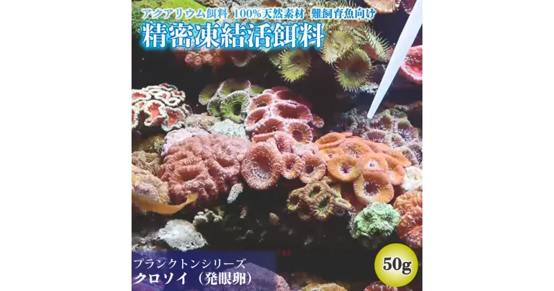 【ふるさと納税】 精密凍結活餌料 クロソイ（発眼卵） 50g (5g×5個×2袋) 難飼育魚向け餌料 観賞魚 熱帯魚 1万円 10000円