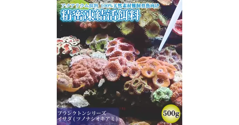 【ふるさと納税】 精密凍結活餌料 【業務用】イサダ (ツノナシオキアミ) 500g(6分割ブロック) 難飼育魚向け 餌料 観賞魚 熱帯魚