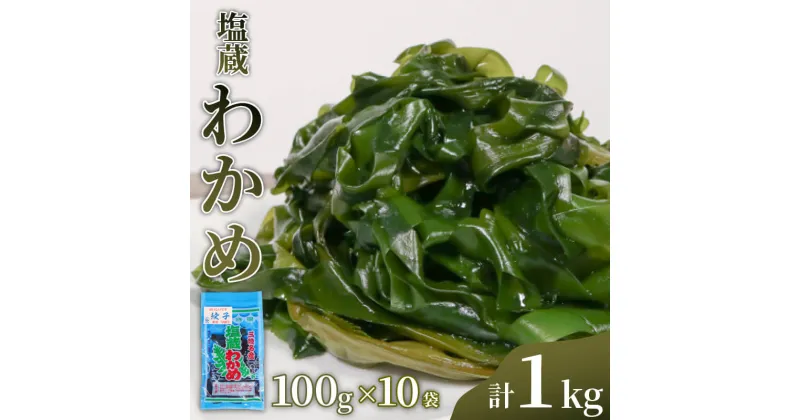 【ふるさと納税】 三陸産 塩蔵わかめ 100g×10パック 計1kg 小分け ワカメ