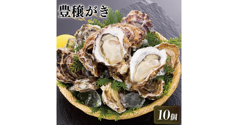 【ふるさと納税】 豊穣かき 10個 生食用 冷凍 かき 牡蠣 カキ オイスター oyster アヒージョ バーベキュー BBQ フライ 揚げ物 鍋 ごはん 夕飯 おかず おつまみ 晩酌 米 丼 海産物 海鮮 魚介 魚介類 贈答品 お中元 大船渡 三陸 岩手県 国産