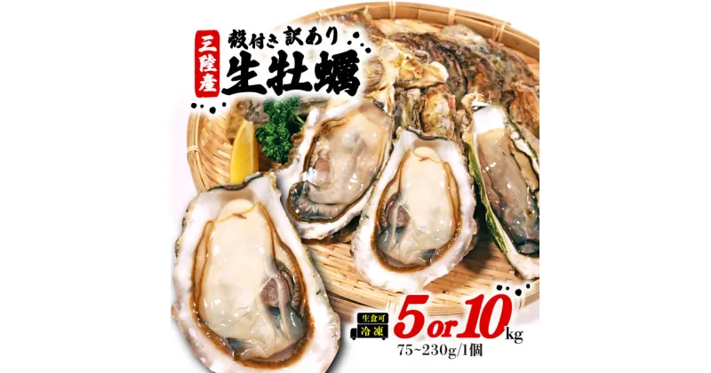 【ふるさと納税】 訳あり 牡蠣 5kg/10kg（生食可) かき カキ 冷凍 岩手県産 殻付き 生食 生食用 訳あり わけあり 大きさ不揃い 不揃い 三陸 三陸産 カンカン焼き かんかん焼き BBQ バーベキュー 貝 海 海のミルク 株式会社國洋 岩手県 大船渡市