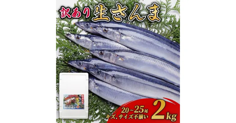 【ふるさと納税】 【期間限定】訳あり 秋刀魚 約2kg 冷蔵 20本～25本 [発送:2024年9月～2024年11月中旬] さんま 鮮さんま 鮮魚 ふるさと納税 不揃い 生サンマ 規格外 魚 焼き魚 旬 産地直送 季節 限定 海鮮 大船渡 三陸三陸 岩手 大船渡市 10000円