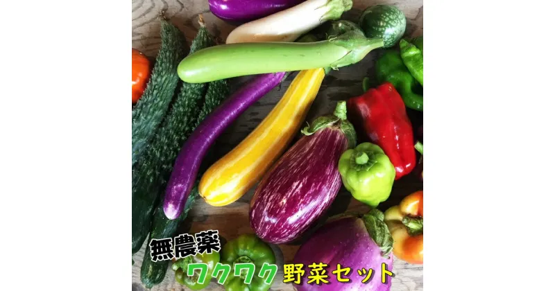 【ふるさと納税】ひばり農園の無農薬ワクワク野菜セット お楽しみ 野菜 詰め合わせ 7〜10品 無農薬 野菜