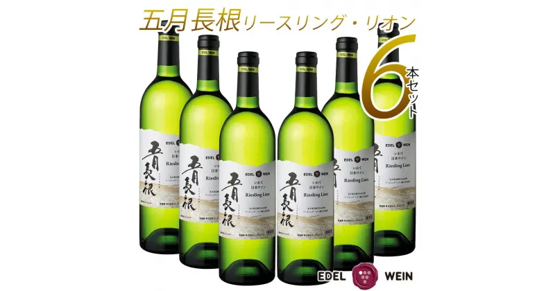 【ふるさと納税】ワイン 白 やや 辛口 エーデルワイン 五月長根 リースリング・リオン 6本セット ふるさと納税 ワイン 父の日 プレゼント