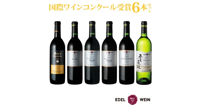 【ふるさと納税】国際ワインコンクール受賞 6本セット 赤 白（750ml×6本）辛口 エーデルワイン ふるさと納税 ワイン