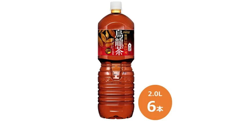 【ふるさと納税】煌 烏龍茶 2L×6本セット ペットボトル お茶 ウーロン茶　コカ・コーラ