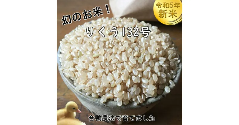 【ふるさと納税】無農薬 お米 合鴨農法で育てたひばり農園 令和5年産 新米 玄米 5kg りくう132号