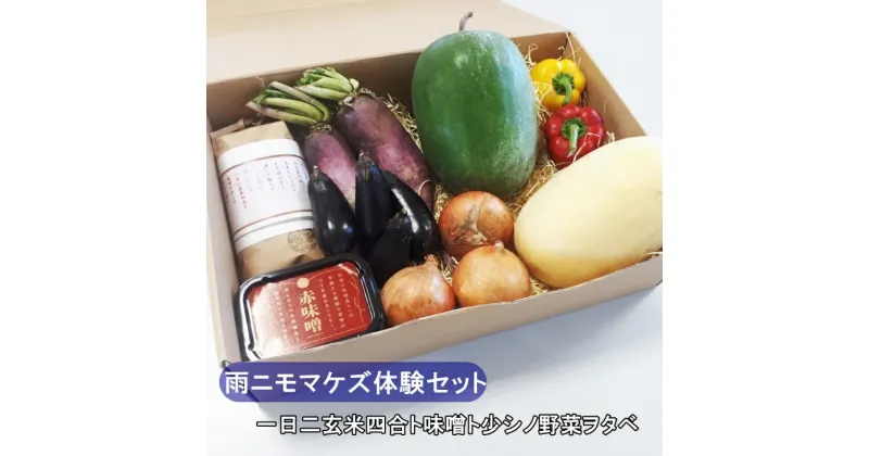 【ふるさと納税】《雨ニモマケズ》「一日ニ玄米四合ト味噌ト少シノ野菜ヲタベ」体験セット